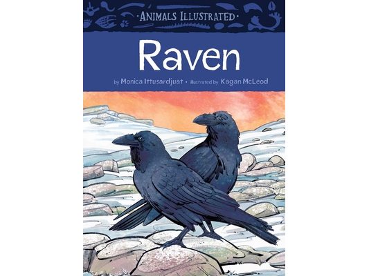 Animals Illustrated: Raven