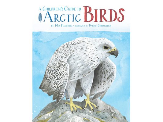 A Children's Guide to Arctic Birds