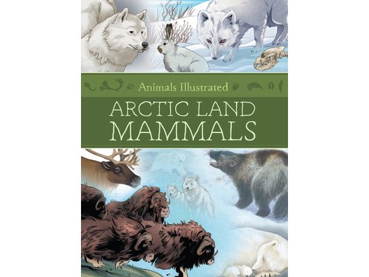 Animals Illustrated: Arctic Land Mammals