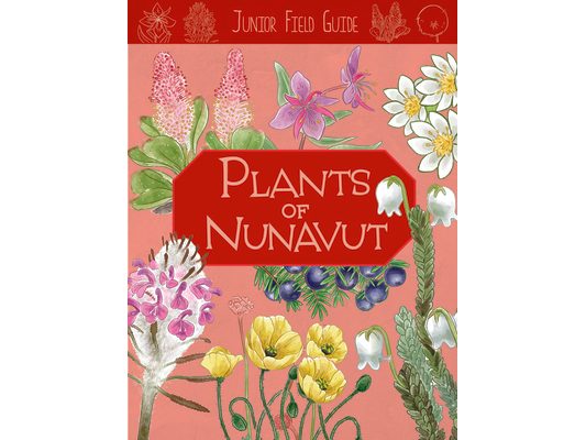 Junior Field Guide: Plants of Nunavut: English Edition