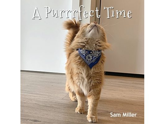 A Purrrfect Time