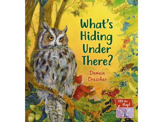 What's Hiding Under There?: A Magical Lift-The-Flap Book