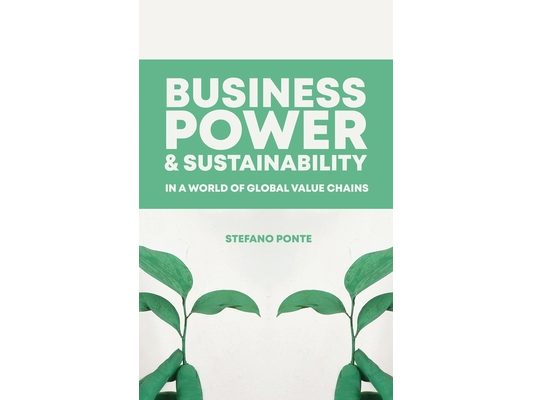 Business, Power and Sustainability in a World of Global Value Chains