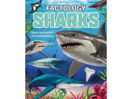 Factology: Sharks: Open Up a World of Information!