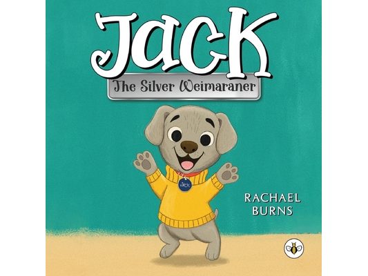 Jack the Silver Weimaraner