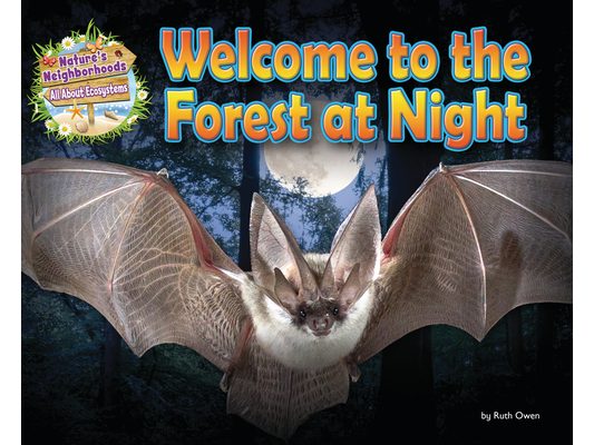 Welcome to the Forest at Night