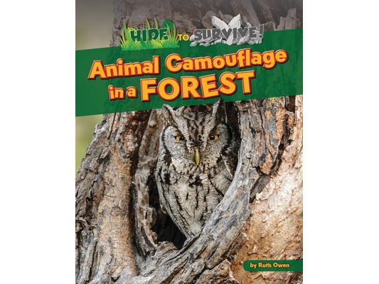 Animal Camouflage in a Forest