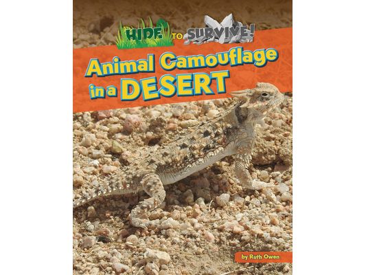 Animal Camouflage in a Desert