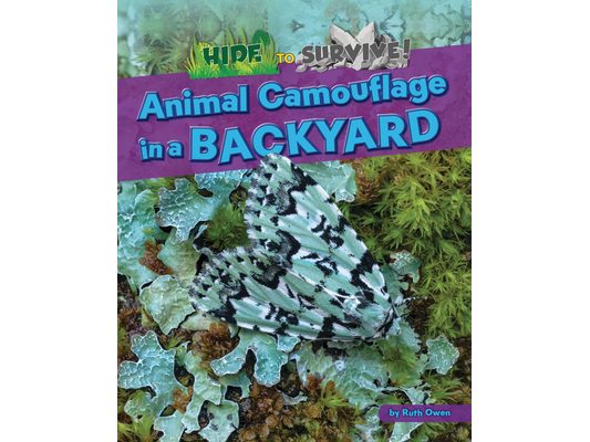 Animal Camouflage in a Backyard