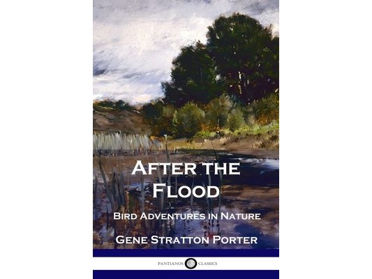 After the Flood: Bird Adventures in Nature