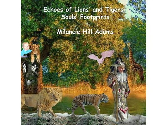 Echoes of Lions' and Tigers' Souls' Footprints
