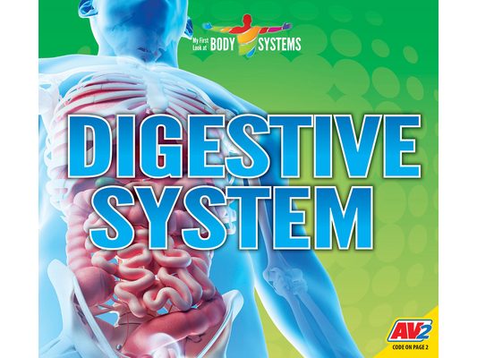 Digestive System