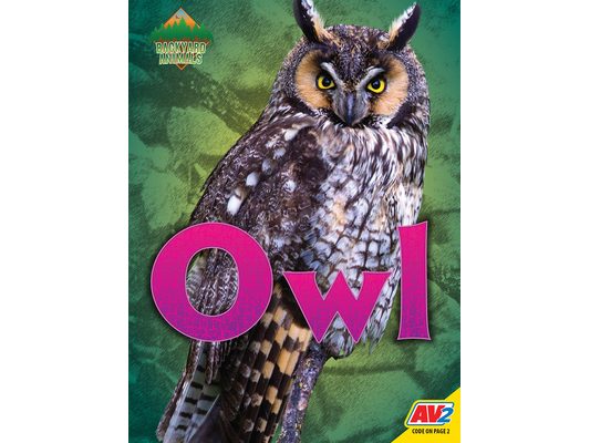 Owl