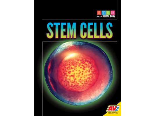Stem Cells