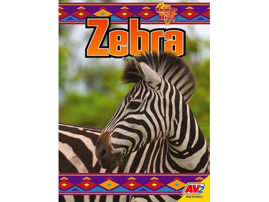 Zebra