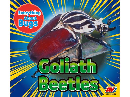 Goliath Beetles