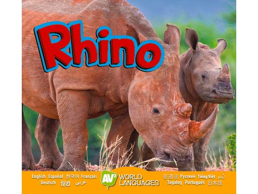 Rhino
