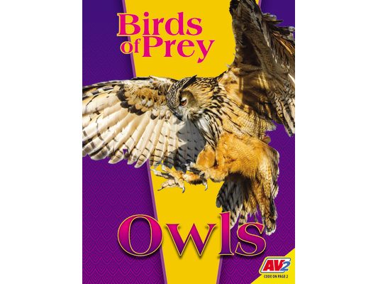 Owls