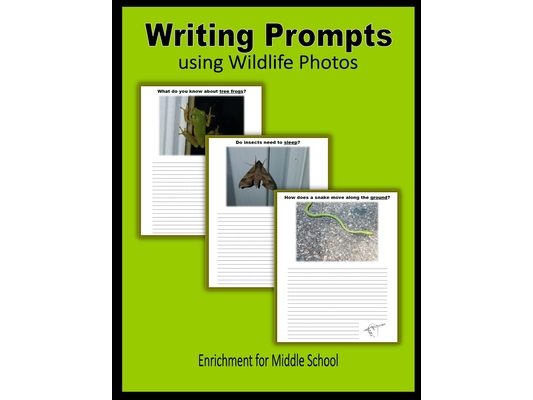 Writing Prompts using Wildlife Photos (Enrichment for Middle School)