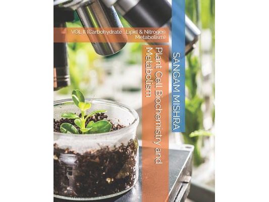Plant Cell Biochemistry and Metabolism: Vol II (Carbohydrate, Lipid & Nitrogen Metabolism)