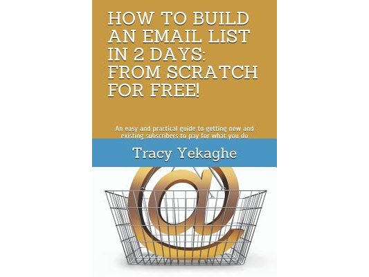 How to Build an Email List in 2 Days: FROM SCRATCH FOR FREE!: An easy and practical guide to getting new and existing subscribers to pay for what you
