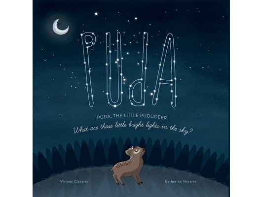 Puda, the little Pudúdeer: What are those little bright lights in the sky?