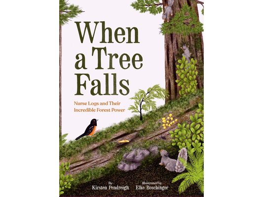 When a Tree Falls: Nurse Logs and Their Incredible Forest Power