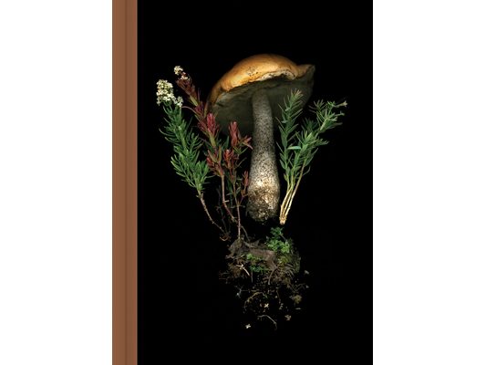 Deep Dark Forest Mushroom Journal