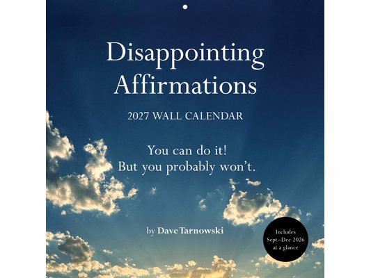 Disappointing Affirmations 2027 Wall Calendar