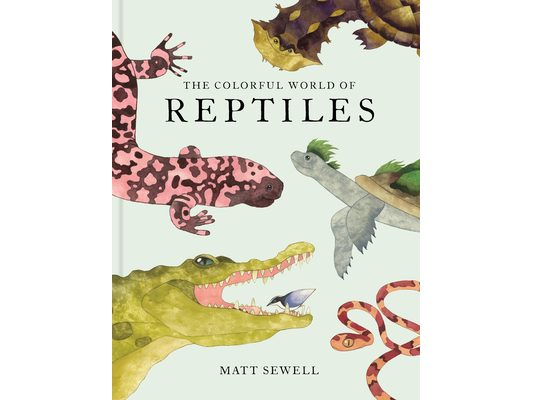 The Colorful World of Reptiles