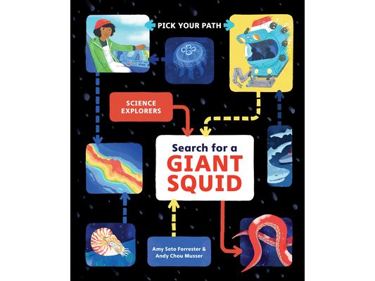 Search for a Giant Squid: Pick Your Path