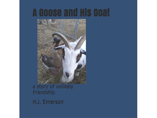 A Goose And His Goat: a story of unlikely friendship