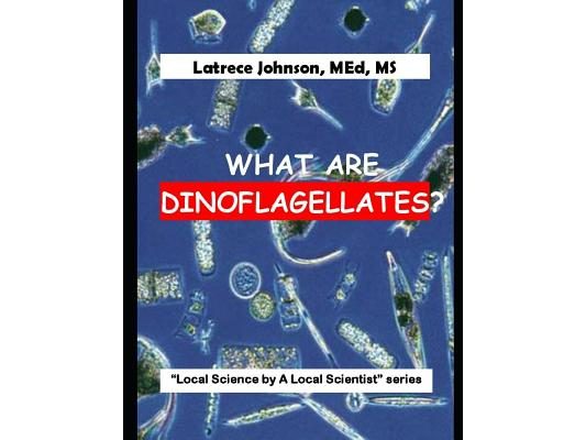 What Is A Dinoflagellate?