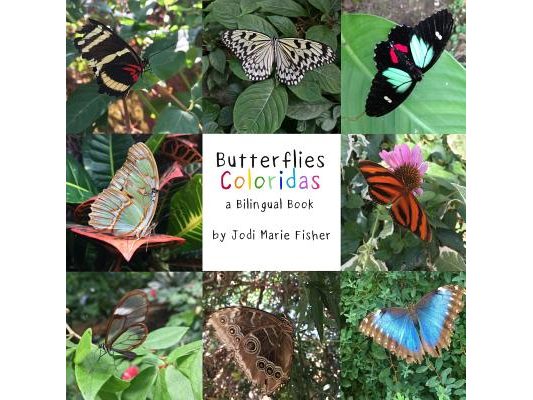 Butterflies Coloridas