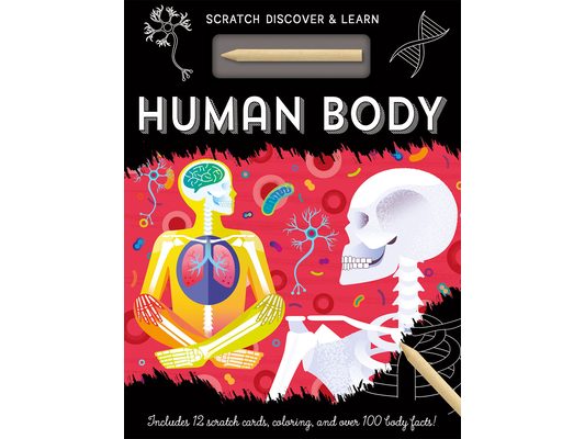 Human Body