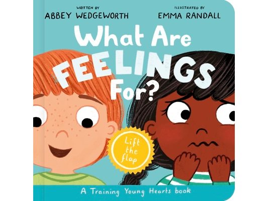 What Are Feelings For? Board Book: A Lift-The-Flap Board Book