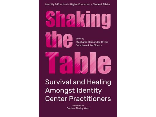 Shaking the Table: Survival and Healing Amongst Identity Center Practitioners