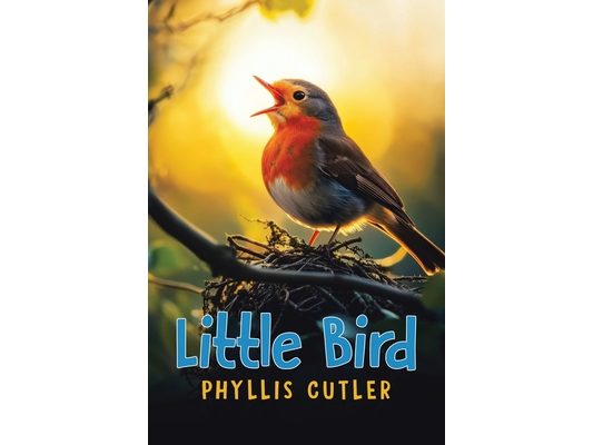 Little Bird
