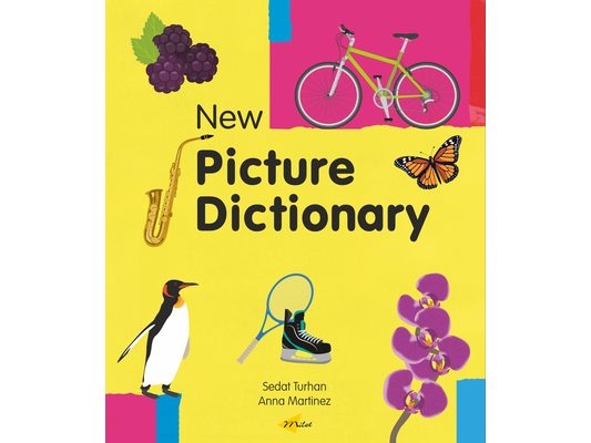 New Picture Dictionary (English)