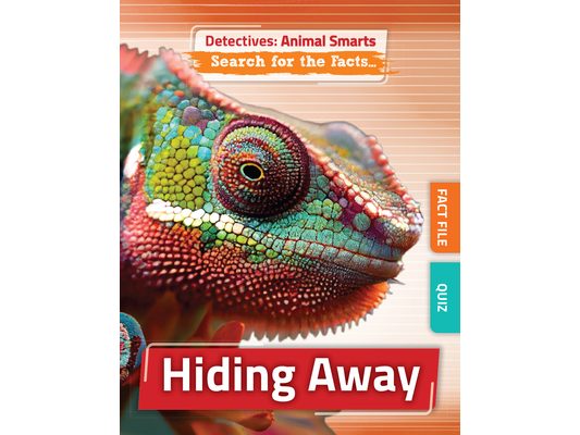 Hiding Away