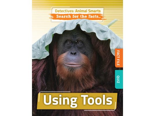 Using Tools