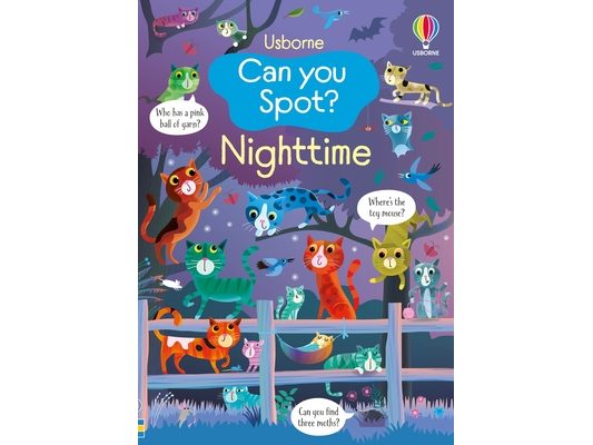 Can You Spot? Nighttime