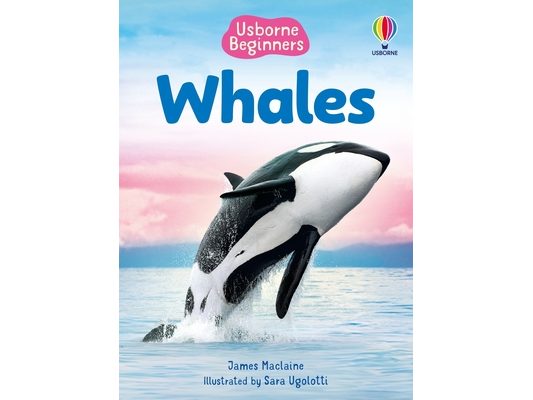 Whales (Usborne Beginners)