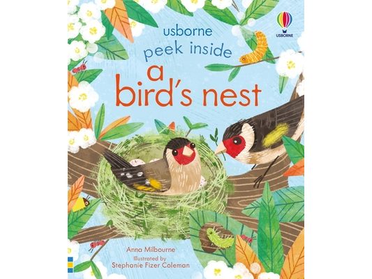 Peek Inside a Bird's Nest