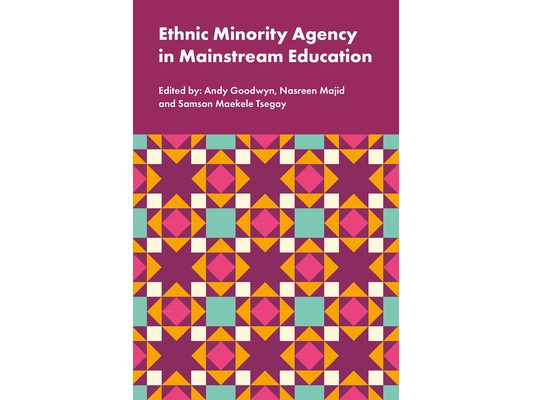 Ethnic Minority Agency in Mainstream Education: A Regional Perspective on a National Challenge