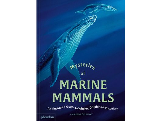 Mysteries of Marine Mammals: An Illustrated Guide to Whales, Dolphins, and Porpoises