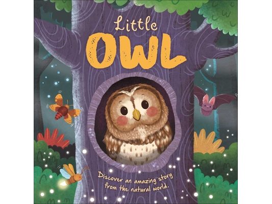 Nature Stories: Little Owl-Discover an Amazing Story from the Natural World: Padded Board Book