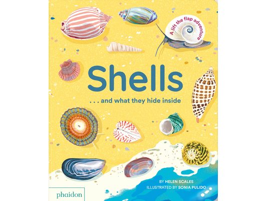 Shells... and What They Hide Inside: A Lift-The-Flap Adventure