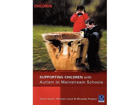 Supporting Children with Autism in Mainstream Schools