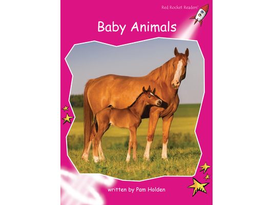 Baby Animals